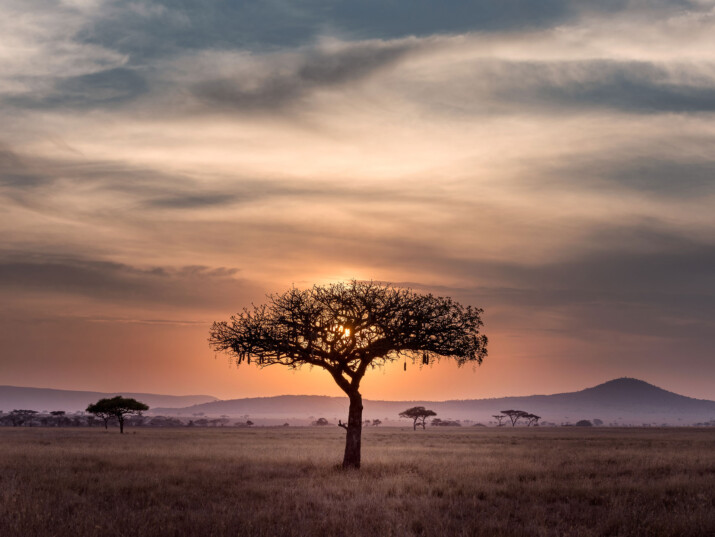 Kenia